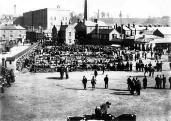 Vieh- und Großmarkt, Kidderminster, 1900